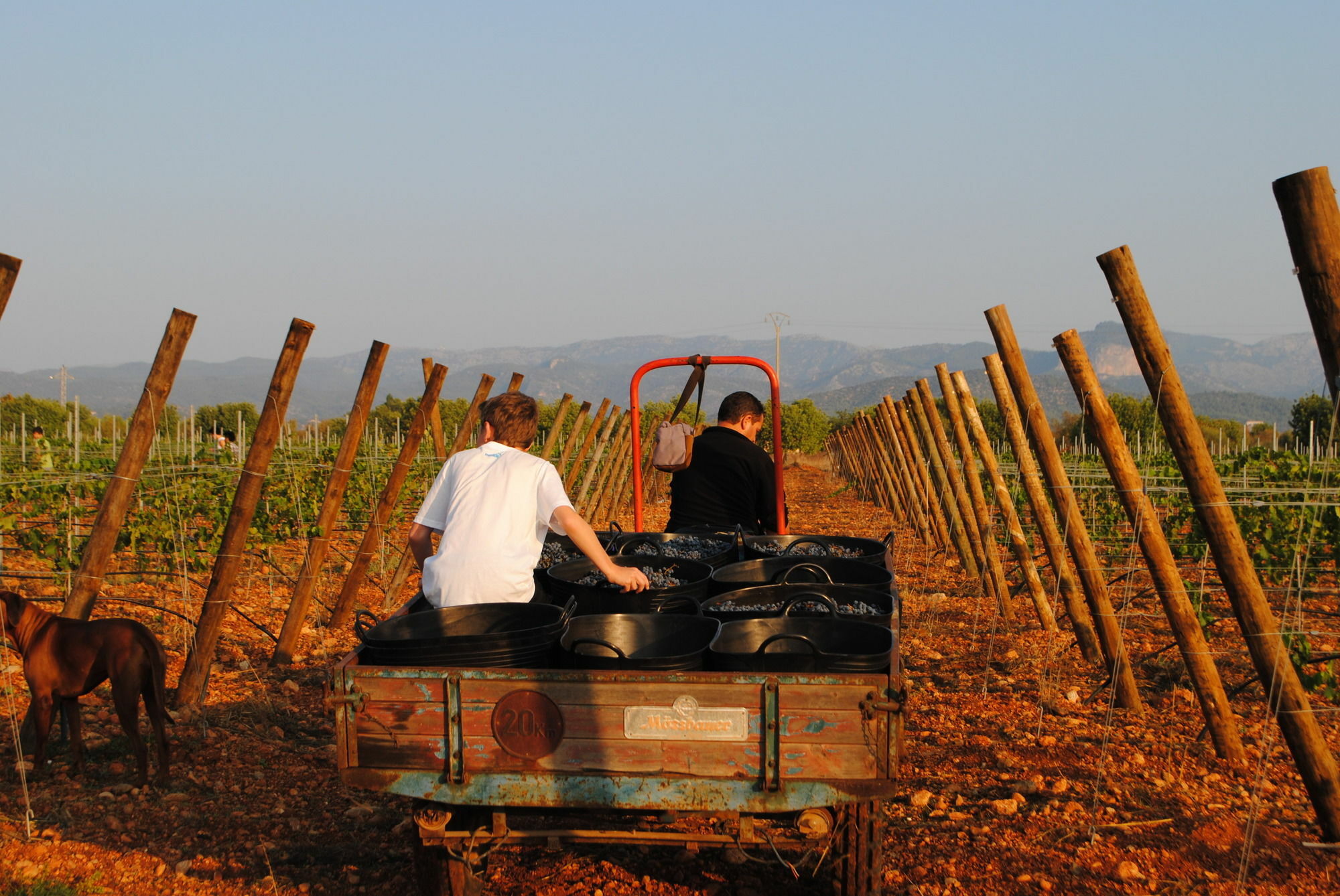 Hotel Weingut & Davero